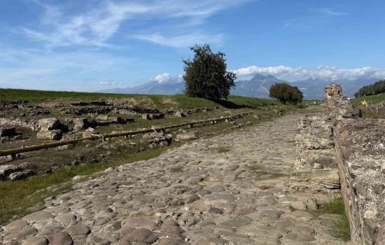 Parchi archeologici crotone e sibari parco del cavallo a scaled 96438b59 - Meraviglie di Calabria - 3