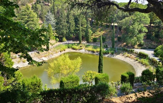 pineta siano 96bd7664 - Meraviglie di Calabria - 1