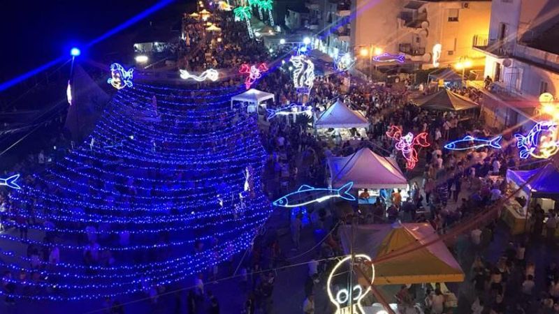 38248761 2052142131669116 4957488670245388288 n e1714142349174 9768f843 - Festival delle Alici, giapponesi interessati a Fuscaldo - 1 Festival delle Alici, giapponesi interessati a Fuscaldo