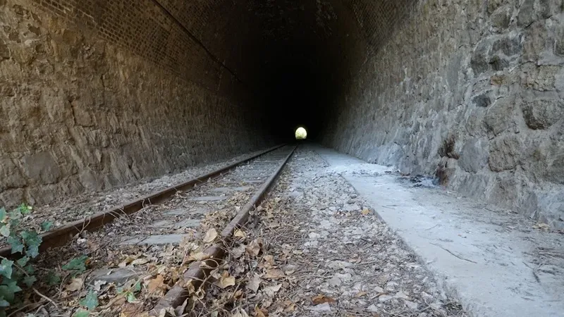 Via degli ulivi 1 974e7a37 - Ferrovie e gallerie, in Calabria le infrastrutture tra paesaggio e storia - 1 Ferrovie e gallerie, in Calabria le infrastrutture tra paesaggio e storia