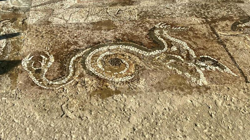 453719814 786158513685397 7459061155290544078 n 98358dfc - Sospeso tra terra e mare, (ri)apre il Parco archeologico dell’antica Kaulonìa - FOTO - 1 Sospeso tra terra e mare, (ri)apre il Parco archeologico dell’antica Kaulonìa – FOTO