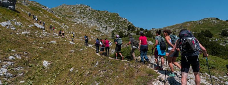 Va’ Sentiero Fest, 13 meravigliosi giorni a piedi tra Calabria e Basilicata
