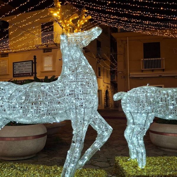 Tropea, con Merry Cinemas arrivano le storie più belle del Natale