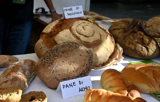 Pane Slow Grains Reggio Calabria %C2%A9 Archivio Slow Food 2 scaled 9969f0c5 - Meraviglie di Calabria - 1