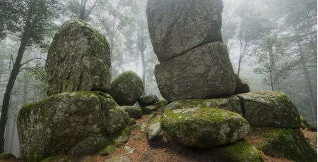 Nardodipace megaliti 9a4a839e - Meraviglie di Calabria - 41