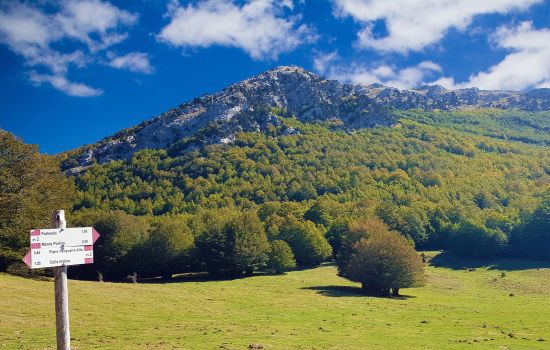 parco nazionale pollino 9d2603de - Meraviglie di Calabria - 29
