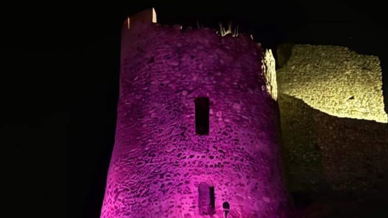 8fba79b6 cc28 483d a38b cea70f4a782f e1707813445197 9e690df4 - Lotta all'epilessia, il Castello bizantino di Simeri s'illumina di viola - 1 Lotta all’epilessia, il Castello bizantino di Simeri s’illumina di viola