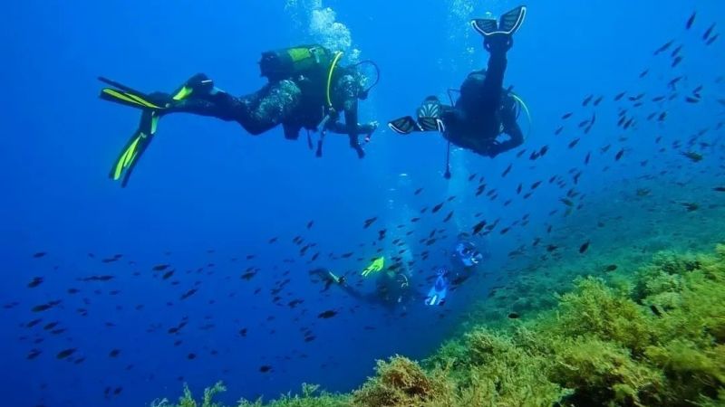 I Parchi Marini verso la Carta Europea del Turismo Sostenibile