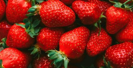 fragole 1 cover a0101495 - Meraviglie di Calabria - 31