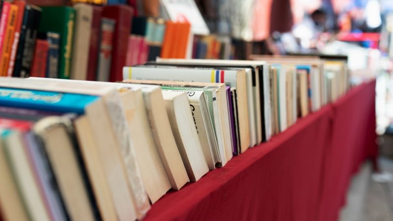 Laudomia Festival, a Cosenza il mondo visto attraverso la scrittura