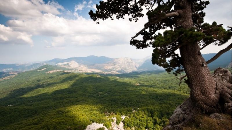 viaggio nel pollino a03ade8c - Terra Madre, se è buono è "Naturalmente Pollino" - 1 Terra Madre, se è buono è “Naturalmente Pollino”