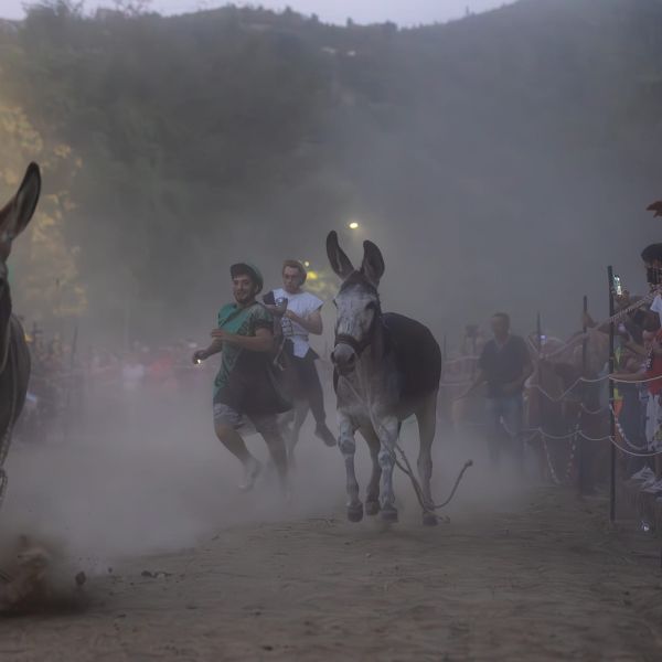 Laino Borgo, sta per arrivare il “Palio cu i ciucci”