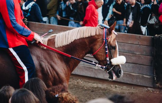 PalioCasteldelPiano2017 BeatriceMancini 68 1200x600 1 a1bd905f - Meraviglie di Calabria - 13
