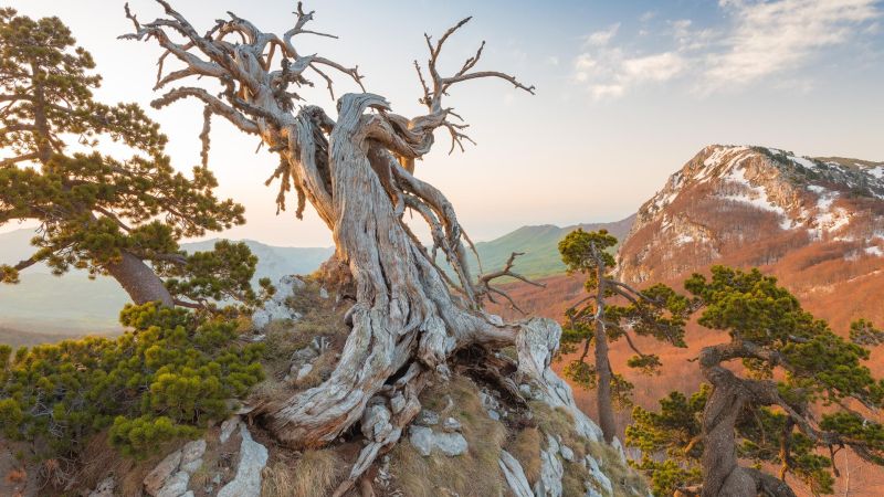 Pollino Lorica imginevidenza.min a339c00c - Calabria, meta ambita dagli amanti del turismo lento - 1 Calabria, meta ambita dagli amanti del turismo lento