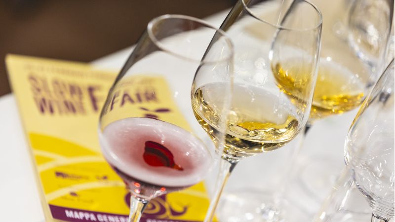 Slow Wine Fair Michele Purin Web 179 a3c493c3 - Vino buono, pulito e giusto: la Calabria a Slow Wine Fair 2025 - 1 Vino buono, pulito e giusto: la Calabria a Slow Wine Fair 2025