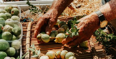 cibo fichi Taste Experience Calabria 1 a34aa38d - Meraviglie di Calabria - 5