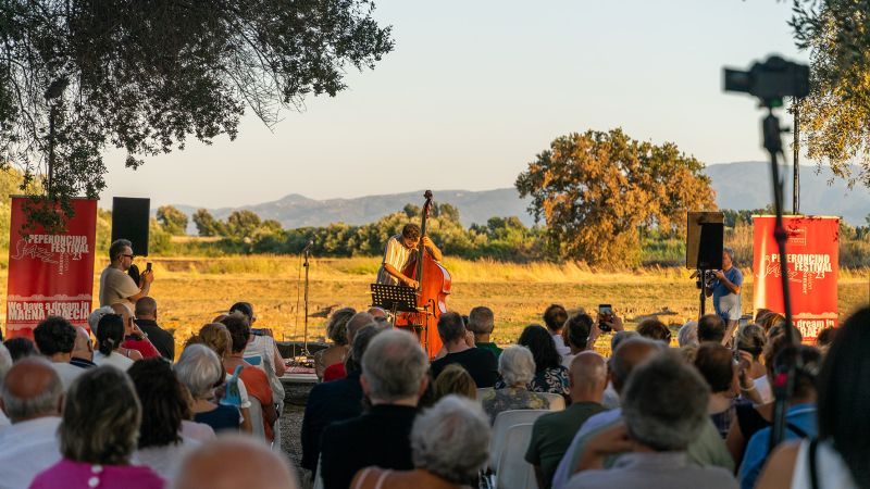 Archeologia e spettacolo, la stagione estiva dei Parchi di Crotone e Sibari