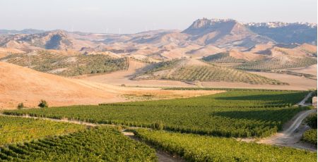 librandi critone ph luca savettiere 4 1 1 a48ee323 - Meraviglie di Calabria - 1