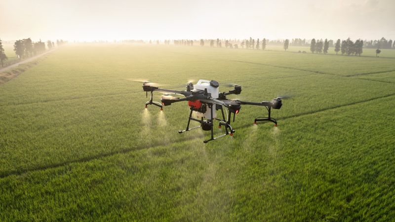 E’ calabrese la proposta autorizzata a trattare di nuove tecnologie e intelligenza artificiale in agricoltura