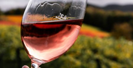 vino rose a569406e - Meraviglie di Calabria - 5