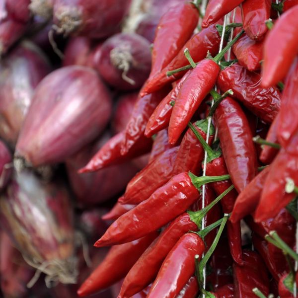 Alla scoperta del gusto della Calabria con i treni regionali