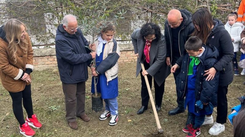 Casali del Manco messa a dimora olivi a6dcf10f - Casali del Manco, messi a dimora olivi per ogni scuola - 1 Casali del Manco, messi a dimora olivi per ogni scuola