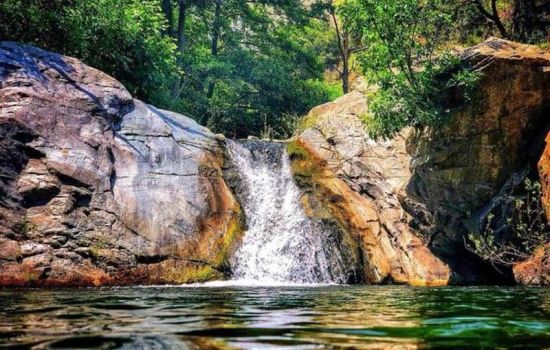 Riserva Naturale Regionale del Vergari foto pagina fb a707cdaf - Meraviglie di Calabria - 40
