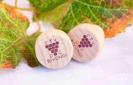 Consorzio vini Bivongi Doc cover 2 a83c0752 - Meraviglie di Calabria - 1