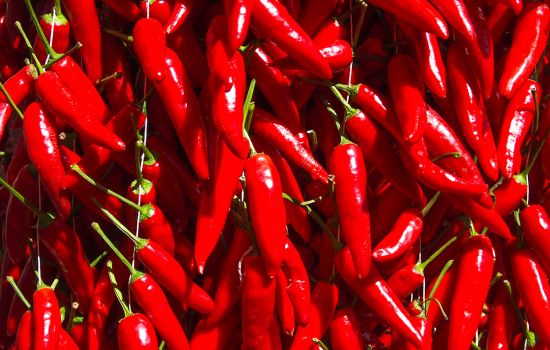peperoncino a820e147 - Meraviglie di Calabria - 3