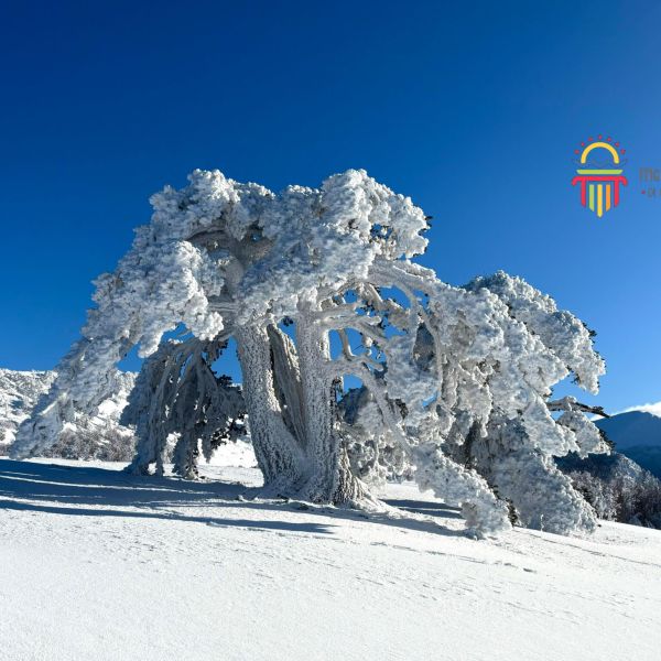 Parco del Pollino, stare a un passo dagli dèi