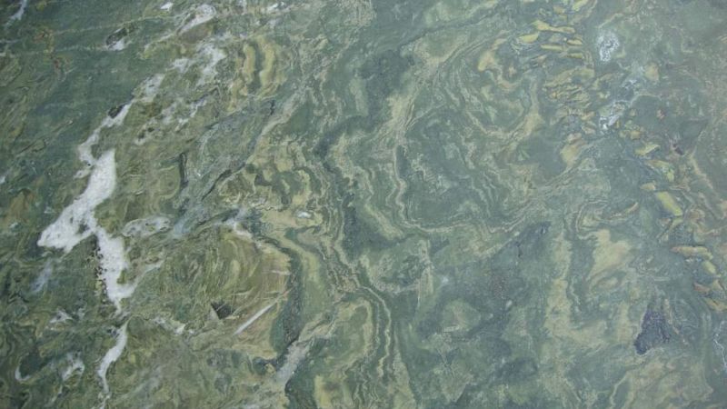 WhatsApp Image 2023 06 29 at 13.20.46 a91460d7 - La pietra verde del Reventino, un pezzo delle Alpi in Calabria - 1 La pietra verde del Reventino, un pezzo delle Alpi in Calabria