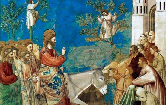 palme Ingresso a Gerusalemme giotto cappella degli scrovegni 1 a9d40637 - Meraviglie di Calabria - 1