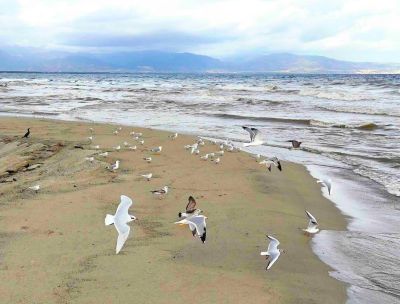 Esperienze di note, natura e cultura in “Pollino-Sybaris”