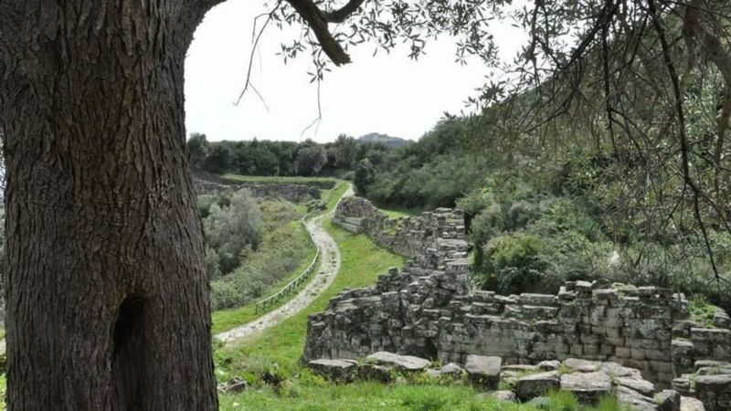 Progetto senza titolo 38 ab89680c - Passeggiata al tramonto fra i resti nel Parco Archeologico Castiglione di Paludi - 1 Passeggiata al tramonto fra i resti nel Parco Archeologico Castiglione di Paludi