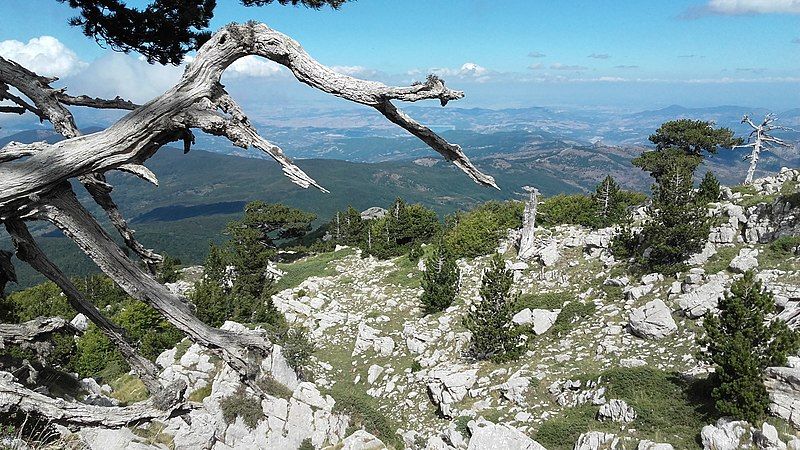 parco pollino accc4b7c - Al Parco del Pollino per la terza volta il titolo di "destinazione sostenibile" - 1 Al Parco del Pollino per la terza volta il titolo di “destinazione sostenibile”