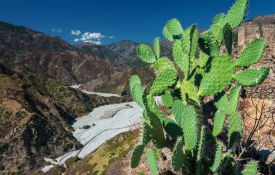 Aspromonte ad3d3724 - Meraviglie di Calabria - 13