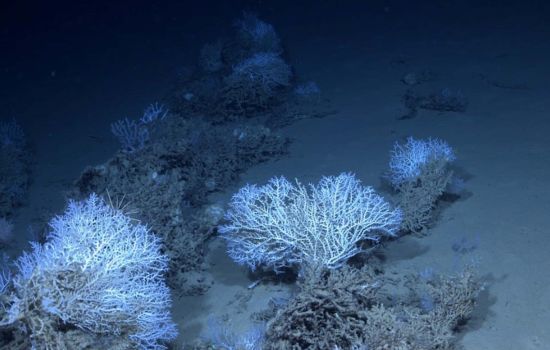 Mare progetto MER scaled e1761476551496 addfd50e - Meraviglie di Calabria - 1