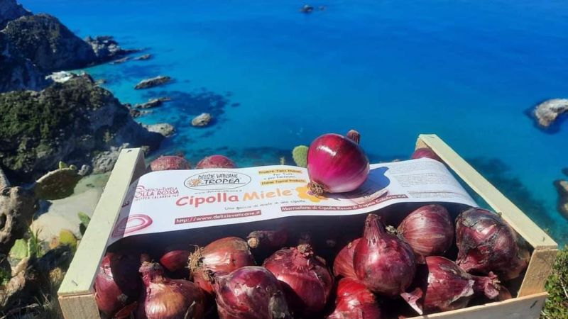 cipolla copertina add90c8b - Sua maestà la Cipolla Rossa di Tropea, una tre giorni per celebrarla - 1 Sua maestà la Cipolla Rossa di Tropea, una tre giorni per celebrarla