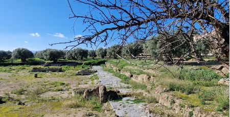 20240128 104020 scaled ae35f07e - Meraviglie di Calabria - 13