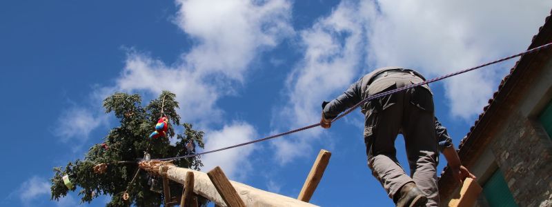 Tire, tortë e cimàhë: parole e suoni della Pitë di Alessandria del Carretto