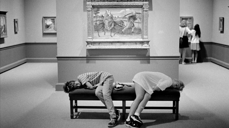 MuseidigitalieGenerazioneZ 1 ae653c55 - Musei e Generazione Z, a Lamezia il libro di Bonacini sulla comunicazione - 1 Musei e Generazione Z, a Lamezia il libro di Bonacini sulla comunicazione