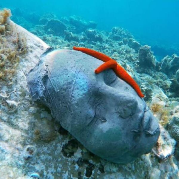 Alla scoperta di “Atlantide”, il Museo Subacqueo nei fondali di Cirella