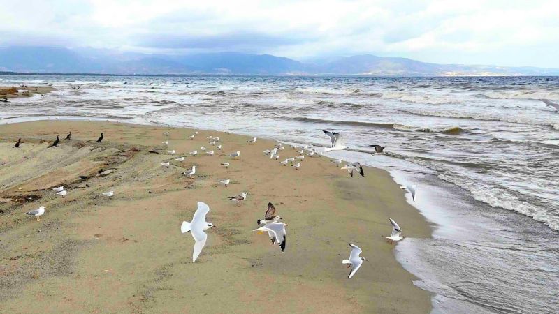Esperienze di note, natura e cultura in “Pollino-Sybaris”