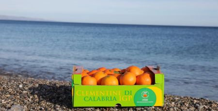 Clementine di Calabria IGP 1 b00ff85a - Meraviglie di Calabria - 1