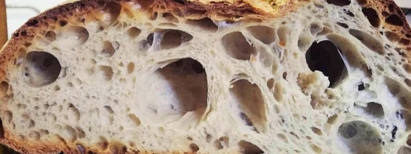 Pane di Cerchiara, la metafora dell’attesa che dà valore al tempo