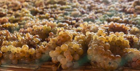 moscato di saracena b1eb109f - Meraviglie di Calabria - 12