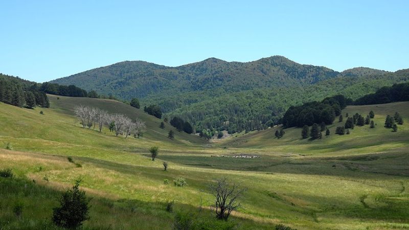 4 opt b2792b76 - La Valle del Tacina, un tesoro verde nella Sila Piccola - 1 La Valle del Tacina, un tesoro verde nella Sila Piccola