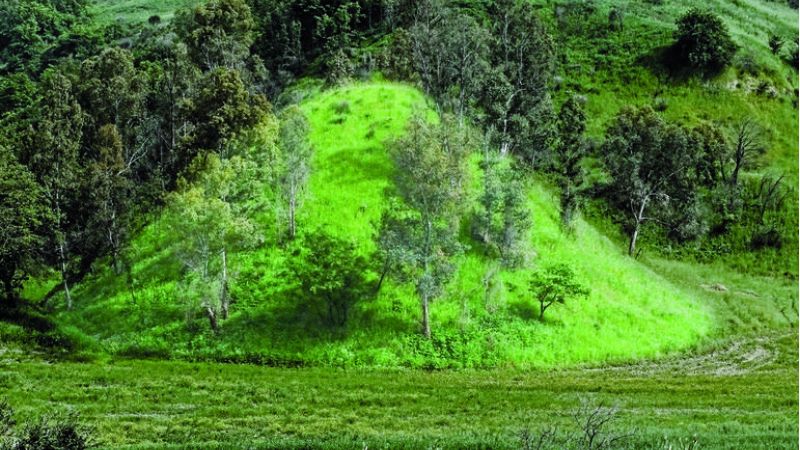 E se Alarico fosse sepolto a Bisignano articleimage b225bbd9 - “Cozzo Rotondo”, la misteriosa collinetta di Bisignano in attesa di verità - 1 “Cozzo Rotondo”, la misteriosa collinetta di Bisignano in attesa di verità