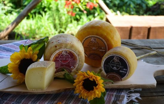 Formaggio pecorino monte poro Gabriele Crudo 1 b3606971 - Meraviglie di Calabria - 1