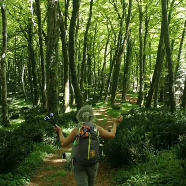 A passo lento nella natura calabrese, a Monterosso i giorni di Kalipè